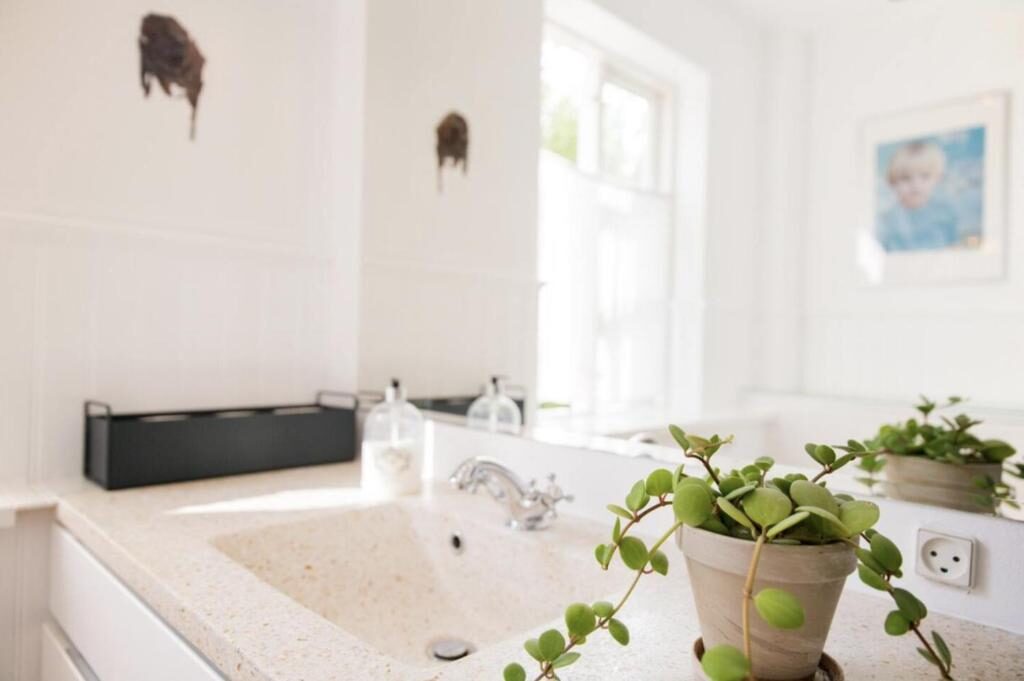 Clean shared bathroom with sink, mirror and plants